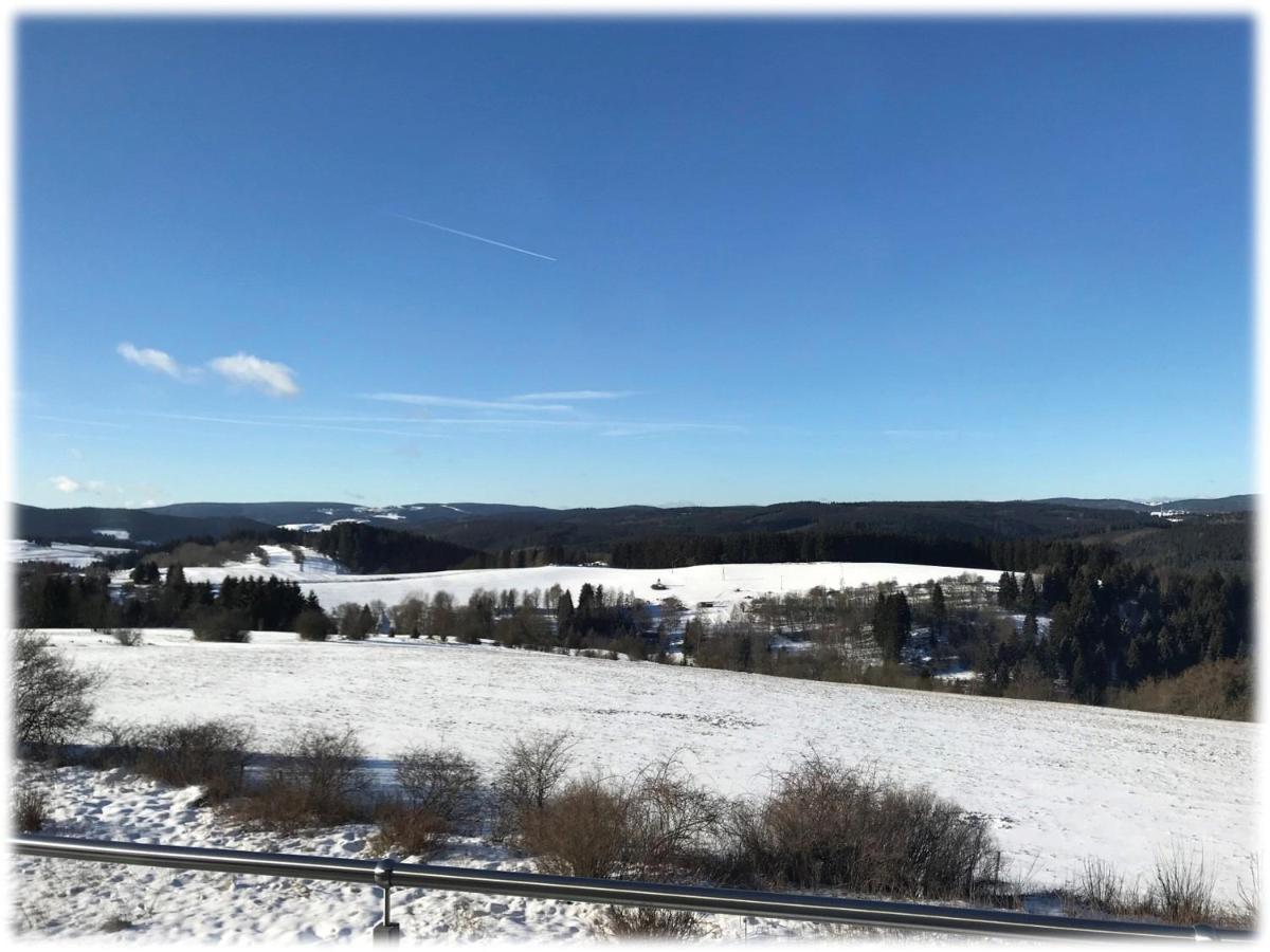 Ferienwohnung Fuchsbau Im Eg Des Ferienhauses Falkenhoehe Oberweißbach Esterno foto
